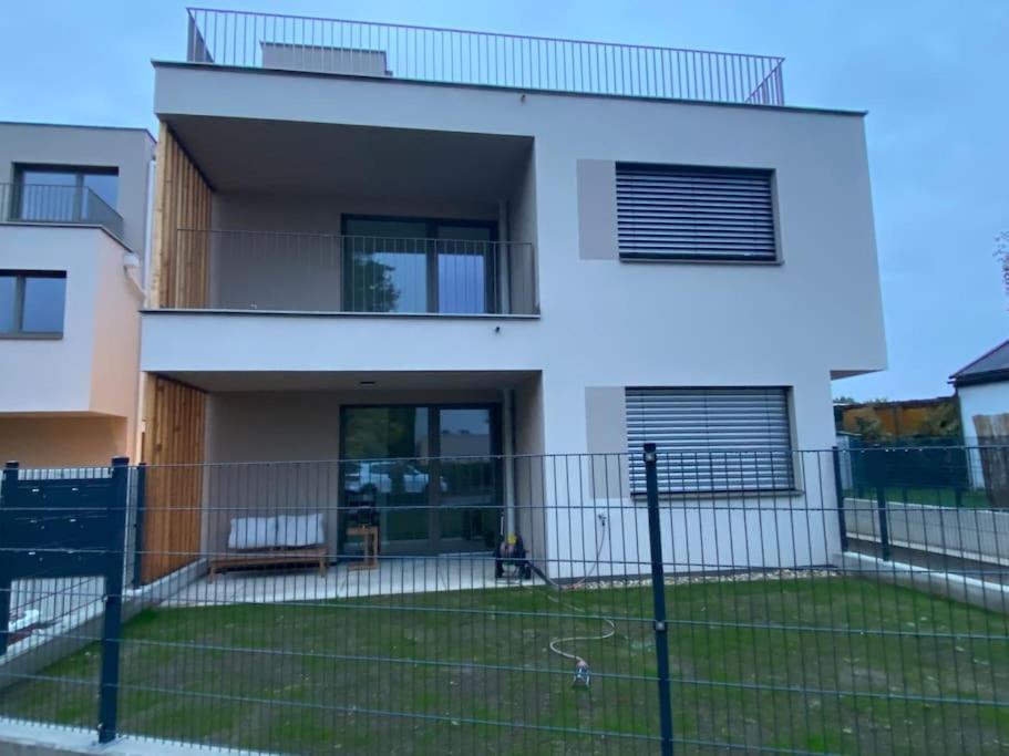 Modern Studio Gardenia_Gartenwohnung Alte Donau ウィーン エクステリア 写真